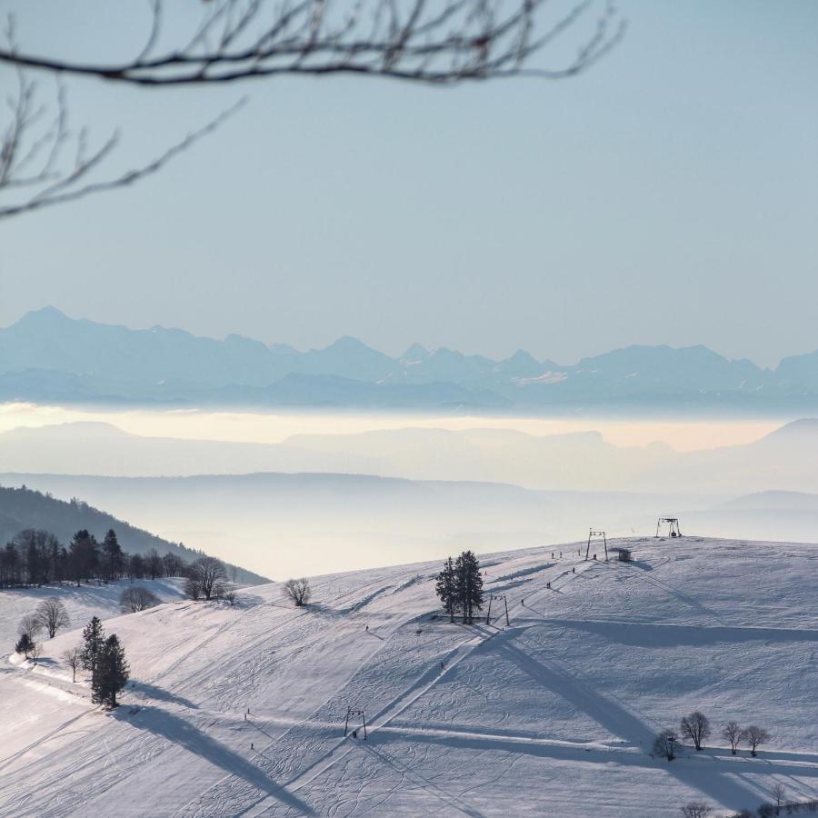 Ferienwohnung Haus Sutter Schopfheim Bagian luar foto